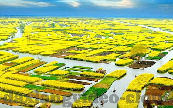 国产麻豆视频-解析国产麻豆视频，精彩国产视频平台的崛起